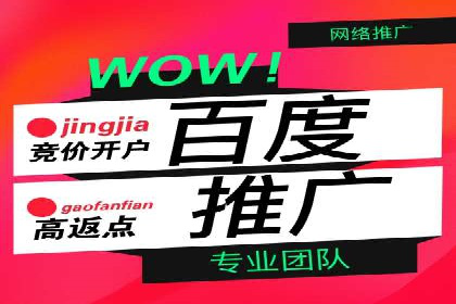 竞价广告投放技巧与案例分析