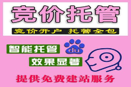 成功案例：专业SEM托管服务助力企业抢占行业制高点