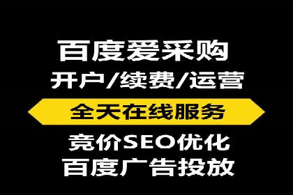 某某sem推广公司实战案例：精准投放提升转化率